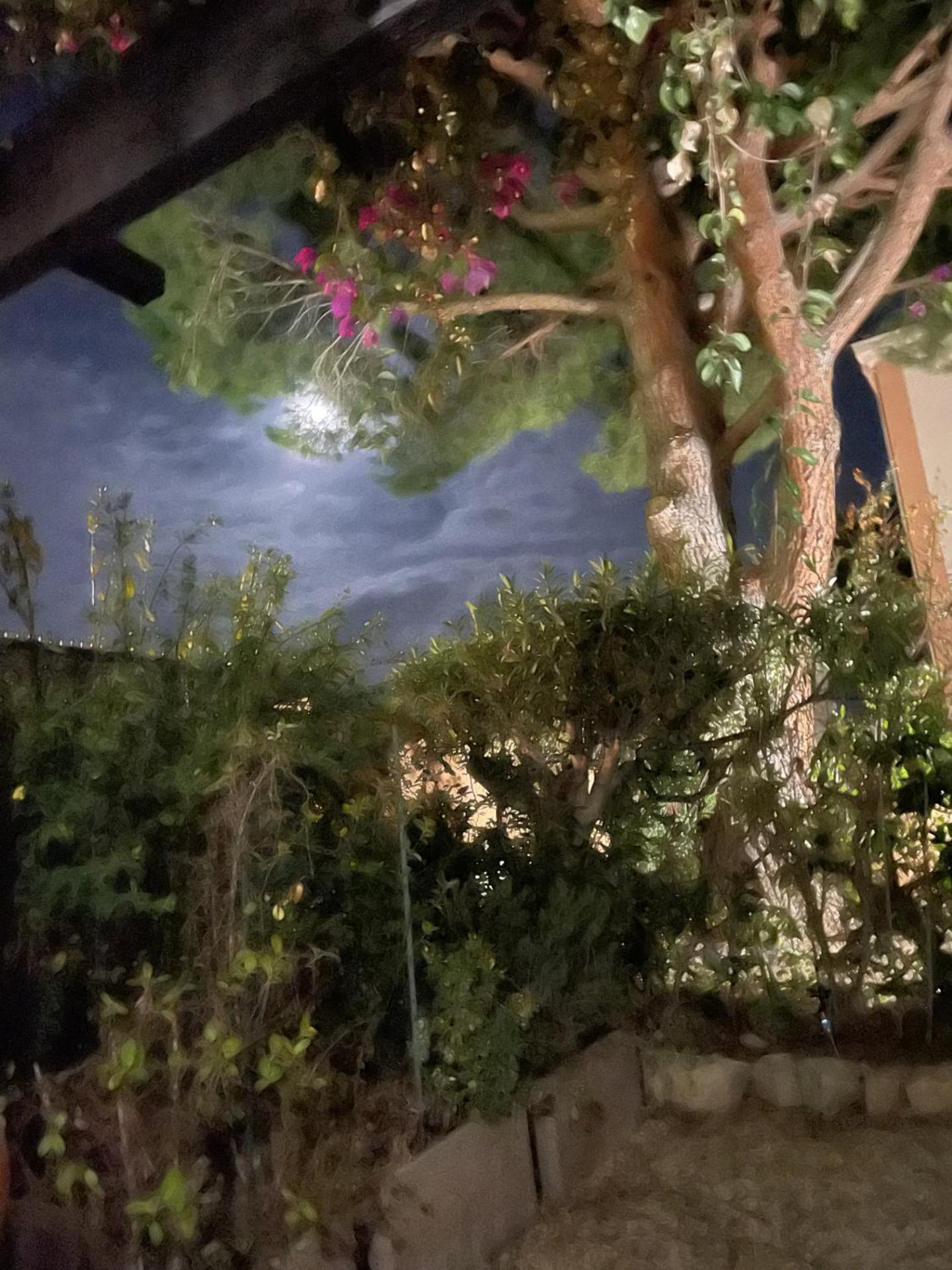 Studio Bandol Avec Jardin Exterior foto